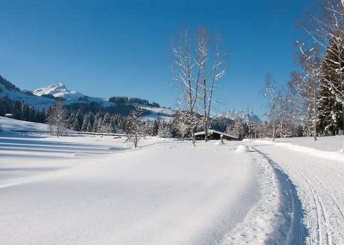 Apartamento Simair Sankt Ulrich am Pillersee